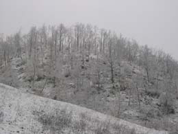 foto neve del 9 Dicembre 2003 6